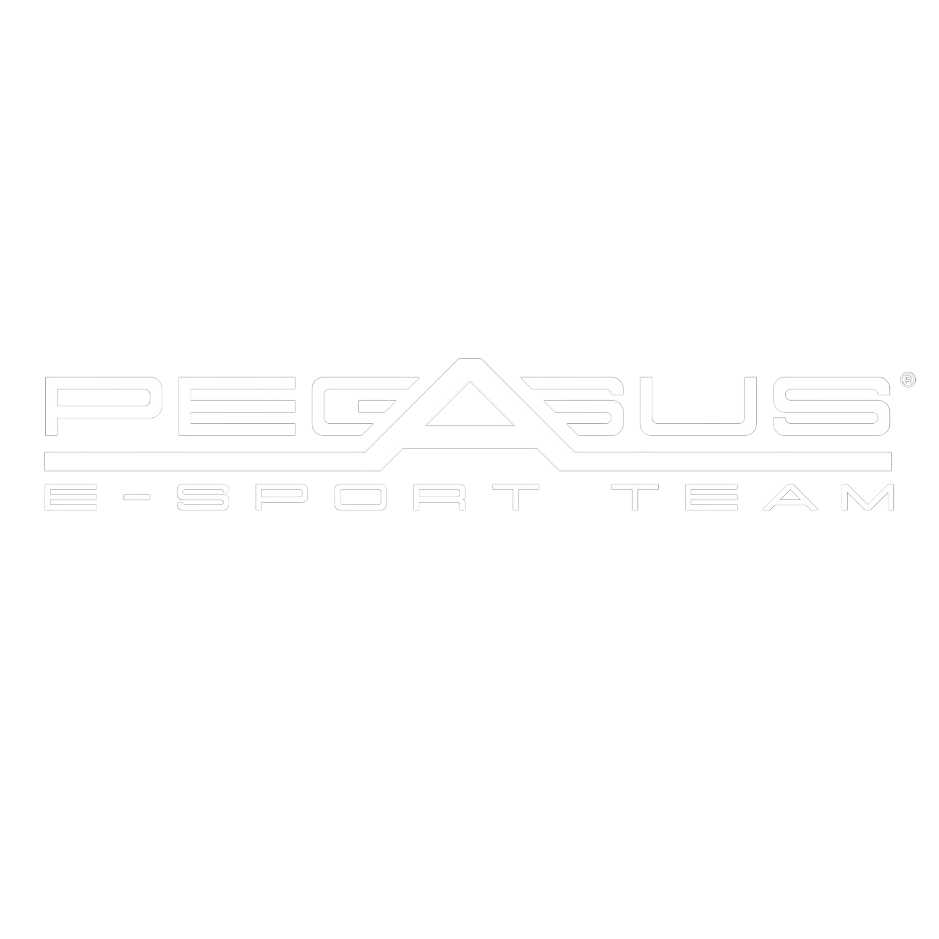 Pegasus E-Sport Team